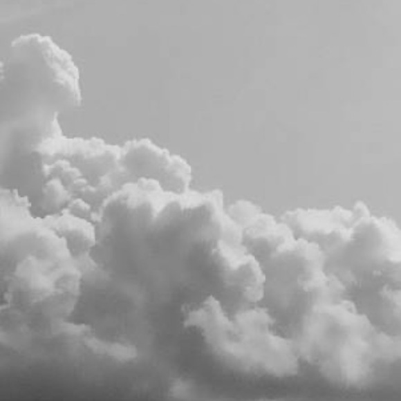 Meet your Posher - Picture 5 of 5